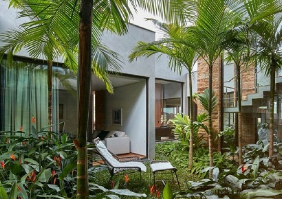 Các loại cây trồng sân vườn biệt thự được yêu thích nhất