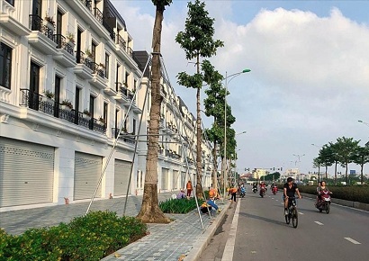 Thi công kiến trúc Shophouse - Những tư vấn không gian